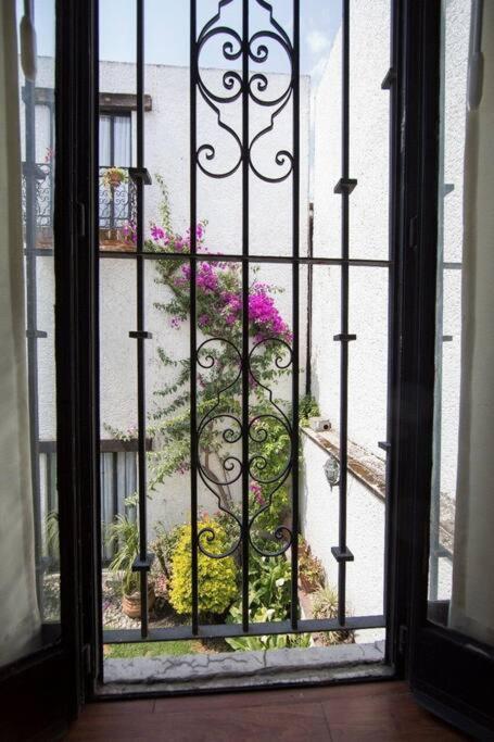 Villa Casa Ayvar. Espectacular Villa Colonial En El Corazon De Coyoacan. Мехіко Екстер'єр фото